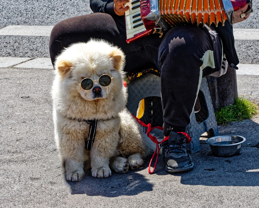 20230527 134233•Paris•Ile-de-France•France